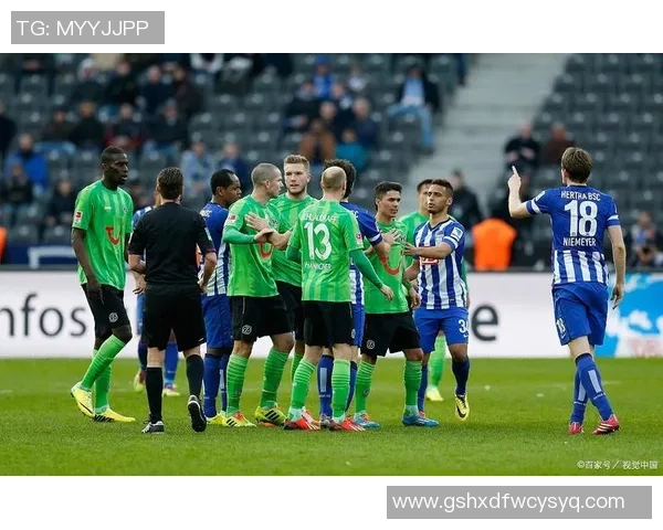 霍芬海姆主场迎战汉诺威96北单推荐分析与赛前预测